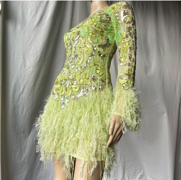 ASOS EDITION embellished sequin and fringe mini dress with faux feather hem - Picture 3 of 12